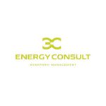 energy consult